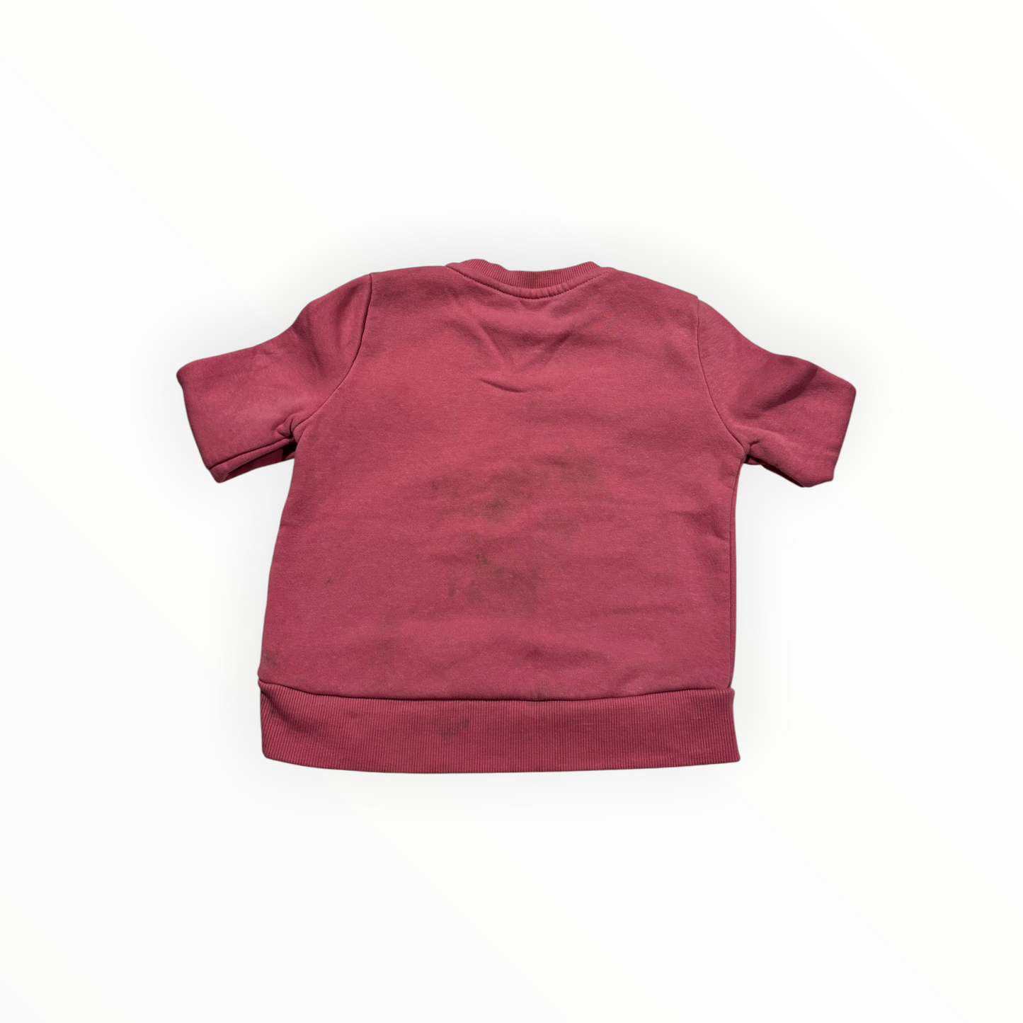 GAP, 4-5 ans, tâche majeur